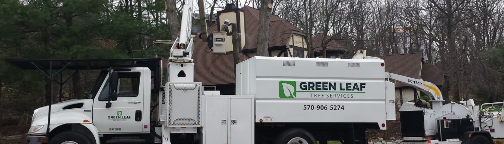 Green Leaf Tree Services